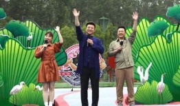 王庄最新爆料新闻事件视频,揭秘事件背后惊人真相