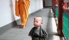 小和尚爆料苏神视频,小和尚爆料背后的惊人真相