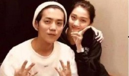 台湾爆料鹿晗视频播放,真相与争议并存